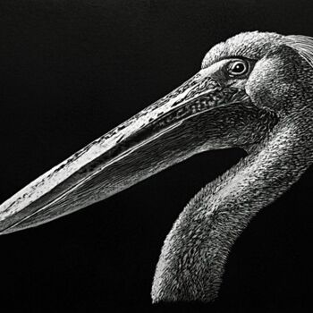 "Pelikan" başlıklı Resim Dietrich Moravec tarafından, Orijinal sanat, Scratchboard 