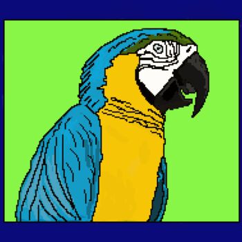 Digitale Kunst getiteld "ara parrot blauwgee…" door Digitalartforyou, Origineel Kunstwerk, Digitaal Schilderwerk