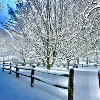 Φωτογραφία με τίτλο "Winterland.jpeg" από Dilian Deal, Αυθεντικά έργα τέχνης