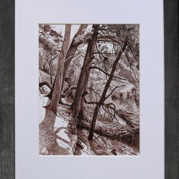 Drawing titled "ARBRES À CAP D'ANTI…" by Dimi Tabacelea, Original Artwork, Ink Mounted on Cardboard