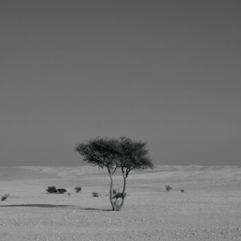 Photography titled "Alone in the desert" by Dimitrios Paterakis, Original Artwork, Digital Photography