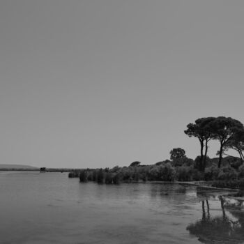 Photographie intitulée "Pines at the lake" par Dimitrios Paterakis, Œuvre d'art originale, Photographie numérique