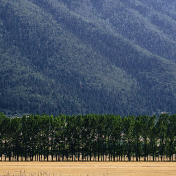 Photographie intitulée "On  the line" par Dimitrios Paterakis, Œuvre d'art originale, Photographie numérique