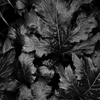 Photographie intitulée "Shades of grey" par Dimitrios Paterakis, Œuvre d'art originale, Photographie numérique