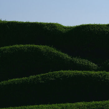 Фотография под названием "Levels of green" - Dimitrios Paterakis, Подлинное произведение искусства, Цифровая фотография