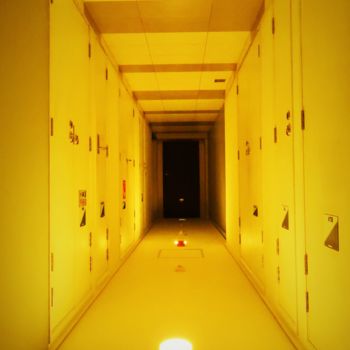 Φωτογραφία με τίτλο "corridor" από Dinil Samarasinha, Αυθεντικά έργα τέχνης, Ψηφιακή φωτογραφία