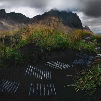 Фотография под названием "Plastic Army: Occup…" - Dirk Krull, Подлинное произведение искусства, Цифровая фотография