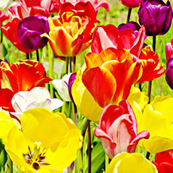 "fleurs tulipes coul…" başlıklı Tablo Divine Kanza tarafından, Orijinal sanat, Diğer