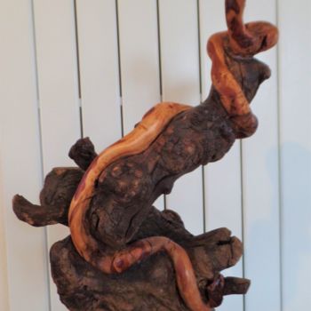 Sculpture intitulée "Kaa" par Michel Dixmai, Œuvre d'art originale, Bois