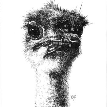 Disegno intitolato "Ostrich Youngling" da Mish P, Opera d'arte originale