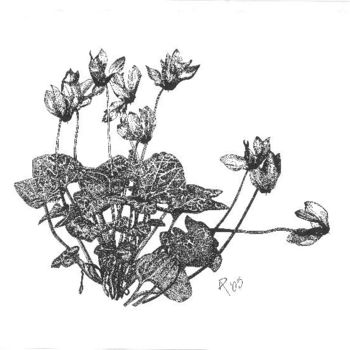 Disegno intitolato "Floating Plant" da Mish P, Opera d'arte originale