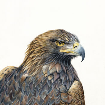 Painting titled "GOLDEN EAGLE" by Dmitrii Kastalskii, Original Artwork, Watercolor