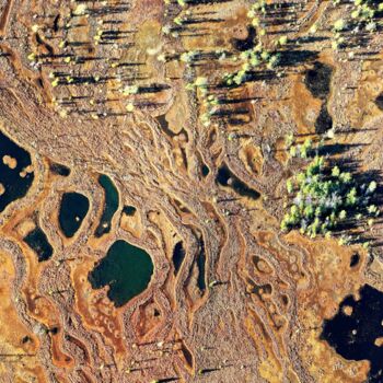 Фотография под названием "Моховые болота вост…" - Дмитрий Мызников, Подлинное произведение искусства, Цифровая фотография