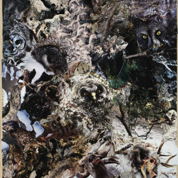 Colagens intitulada "Зло" por Dmitrii Shulkovich, Obras de arte originais, Colagens
