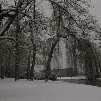 Fotografie getiteld "winter 6" door Doen, Origineel Kunstwerk, Digitale fotografie