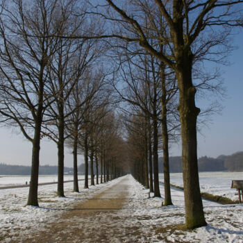 Fotografie getiteld "winter 9" door Doen, Origineel Kunstwerk, Digitale fotografie
