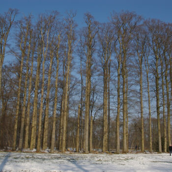 Фотография под названием "winter 8" - Doen, Подлинное произведение искусства, Цифровая фотография