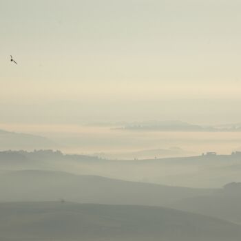 Photography titled "30. foggy dawn land…" by Doen, Original Artwork, Digital Photography