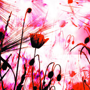 Photography titled "Coquelicot 8" by Dol, Original Artwork
