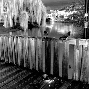 Photography titled "Pigeons sur le pont…" by Dol, Original Artwork