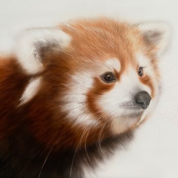 Painting titled "Red panda" by Dolgor Dugarova (Dolgor Art), Original Artwork, Acrylic