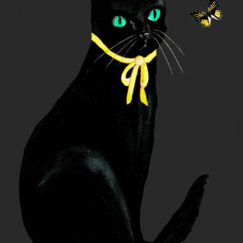 Digital Arts titled "Black Cat and Butte…" by Dodi Ballada, Original Artwork, Digital Painting