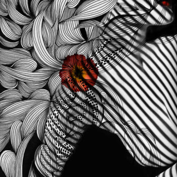 Photography titled "coquelicot" by Dodi Ballada, Original Artwork, Manipulated Photography