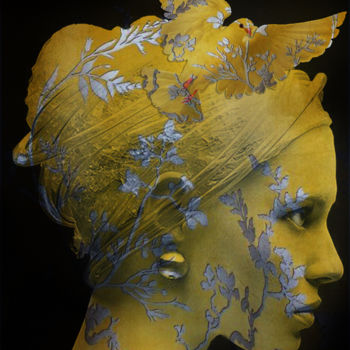 Fotografia zatytułowany „mimosa” autorstwa Dodi Ballada, Oryginalna praca, Fotografia cyfrowa