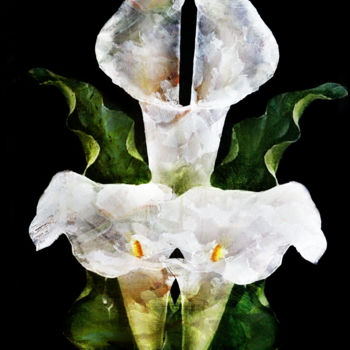 Digital Arts titled "ecume de fleurs" by Dodi Ballada, Original Artwork, Digital Painting