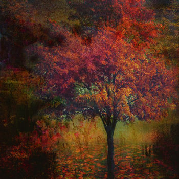 Digital Arts titled "couleurs automnales" by Dodi Ballada, Original Artwork, Digital Painting