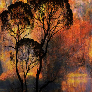 Digital Arts titled "la forêt s'embrase" by Dodi Ballada, Original Artwork, Digital Painting