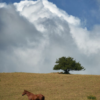 Photography titled "Il racconto del sil…" by Domenico Guddo, Original Artwork