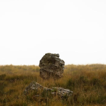 摄影 标题为“Stone” 由Domenico Guddo, 原创艺术品