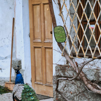 Fotografia intitulada "La casa della vanit…" por Domenico Guddo, Obras de arte originais