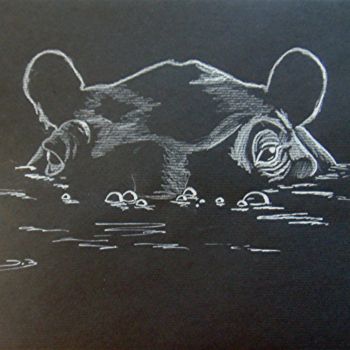 Tekening getiteld "hippo-sous-l'eau." door Dominique Blondel, Origineel Kunstwerk, Potlood