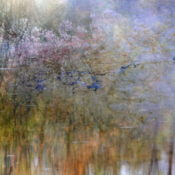 Photographie intitulée "Brume, étang 2" par Dominique Comolet, Œuvre d'art originale, Photo montage