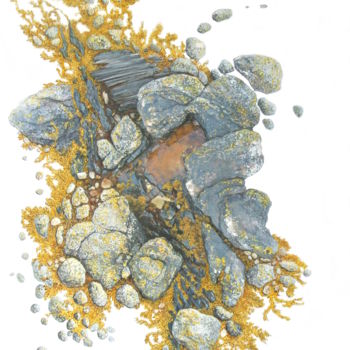 Peinture intitulée "Algue d'or" par Dominique Gais, Œuvre d'art originale, Encre Monté sur Carton