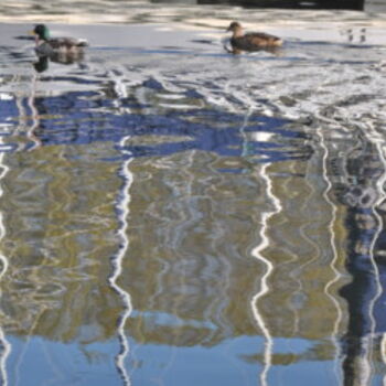 Fotografia intitolato "Reflets sur eaux" da Dominique Goujard, Opera d'arte originale