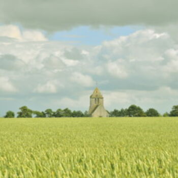 Photographie intitulée "Champs de blé" par Dominique Goujard, Œuvre d'art originale