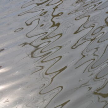 Fotografía titulada "Reflet" por Dominique Goujard, Obra de arte original