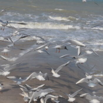 Photographie intitulée "envol de mouettes" par Dominique Goujard, Œuvre d'art originale