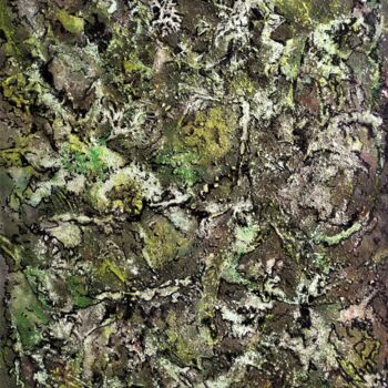 Pintura intitulada "Mousse et lichens 1" por Dominique Jolivet, Obras de arte originais, Pastel