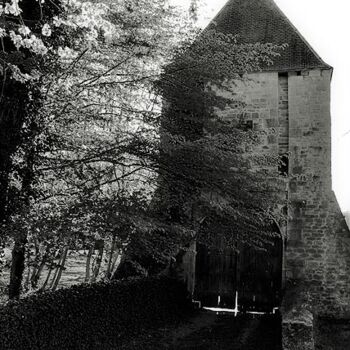 Фотография под названием "Château des CARONDE…" - Dominique Lebon, Подлинное произведение искусства