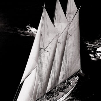 Photographie intitulée "Noir et Blanc" par Dominique Leroy, Œuvre d'art originale