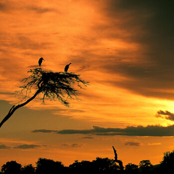 Photography titled "Kenya" by Dominique Leroy, Original Artwork