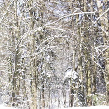 Fotografie mit dem Titel "Paysage de Neige. F…" von Dominique Leroy, Original-Kunstwerk