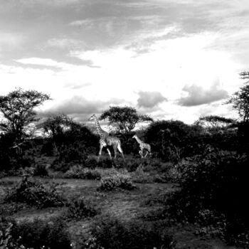 Fotografie mit dem Titel "Girafe et girafon.…" von Dominique Leroy, Original-Kunstwerk