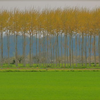 Photographie intitulée "frontière végétale." par Dominique Sandor, Œuvre d'art originale