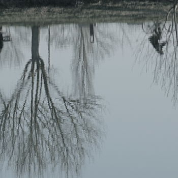 Photographie intitulée "Le monde a l'envers." par Dominique Sandor, Œuvre d'art originale