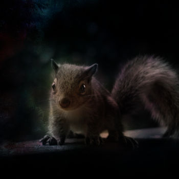 Arts numériques intitulée "mon ami l'écureuil" par Dominique Taïbouni, Œuvre d'art originale, Photo montage